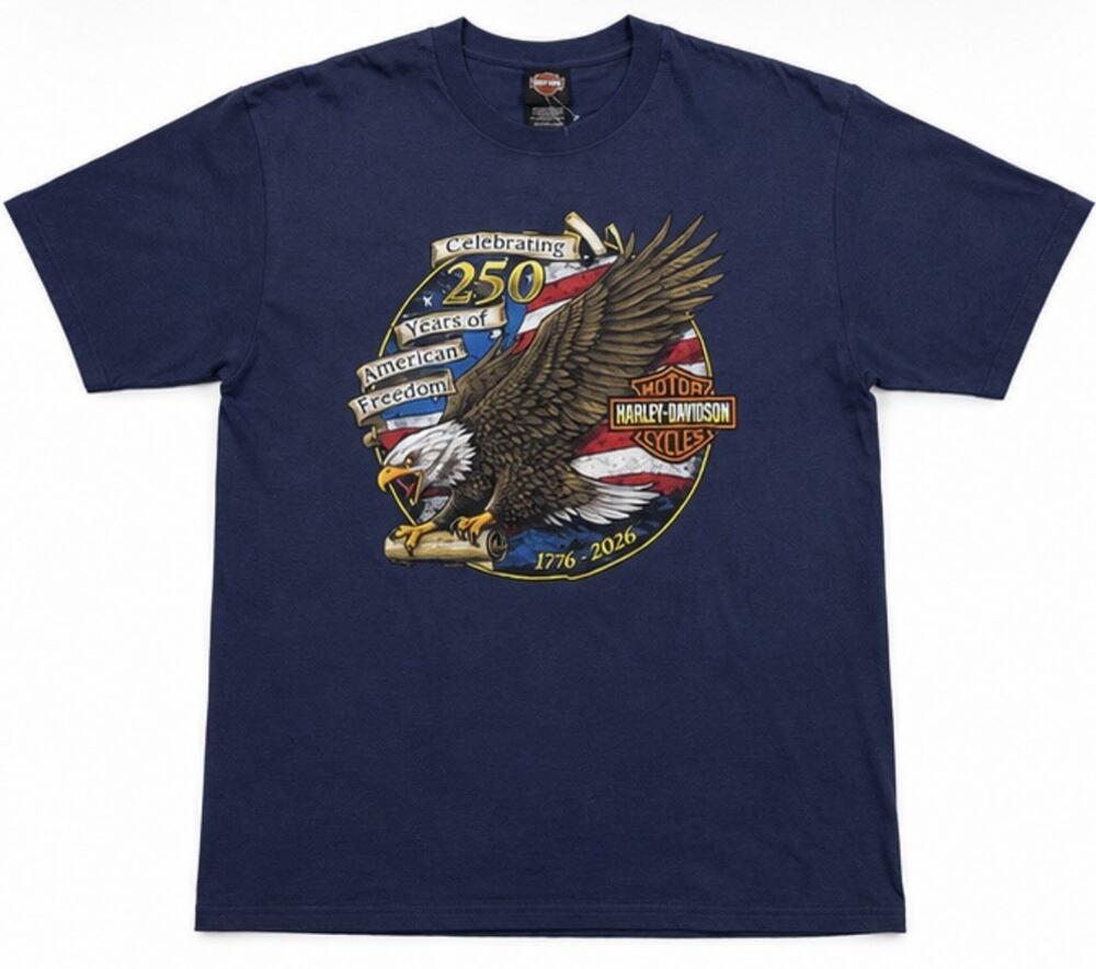 Harley Davidson 250 Years American Freedom Eagle T Shirt Mens Large 2026 New